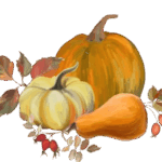 kuerbisse und hagebutten